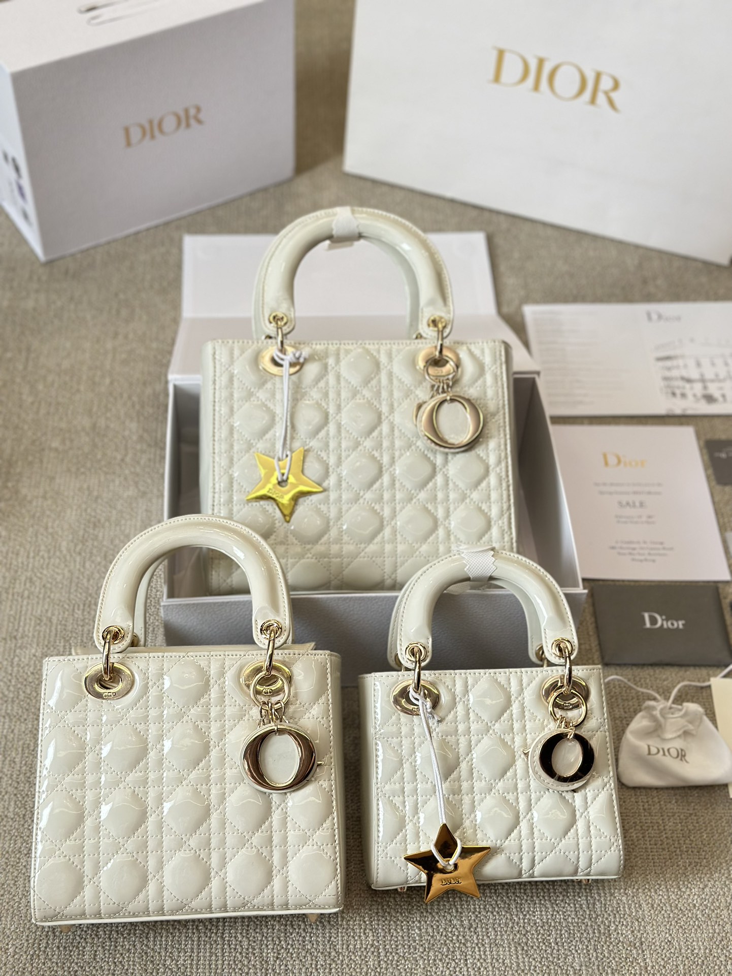 DIOR bag 377
